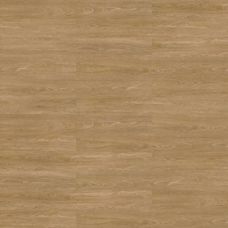 Picture of Shaw Floors - Terrain II 20 Mil Trail