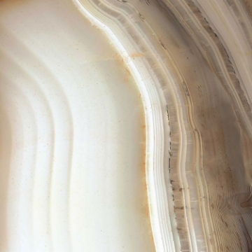 Picture of Elysium - Alabastri 32 x 32 Bamboo