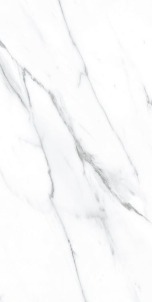 Picture of Elysium - AGL 12 x 24 Matte Carrara