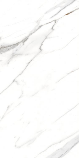 Picture of Elysium - AGL 24 x 48 Matte Carrara