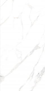 Picture of Elysium - AGL 24 x 48 Matte Statuario