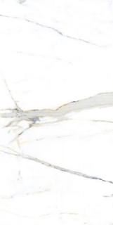 Picture of Elysium - AGL 24 x 48 Matte Apia Orange