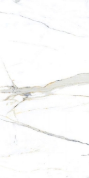 Picture of Elysium - AGL 24 x 48 Matte Apia Orange