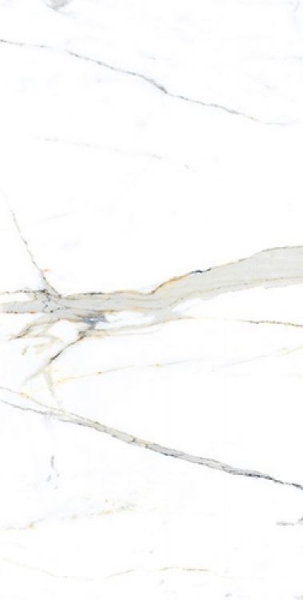 Picture of Elysium - AGL 24 x 48 Matte Apia Orange