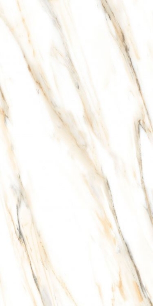 Picture of Elysium - AGL 24 x 48 Polished Calacatta Gold