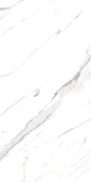 Picture of Elysium - AGL 24 x 48 Polished Carrara