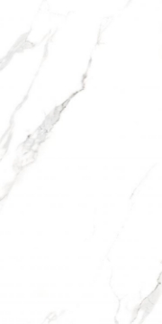 Picture of Elysium - AGL 24 x 48 Polished Statuario