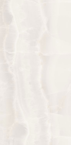 Picture of Elysium - Akoya 12 x 24 Matte White