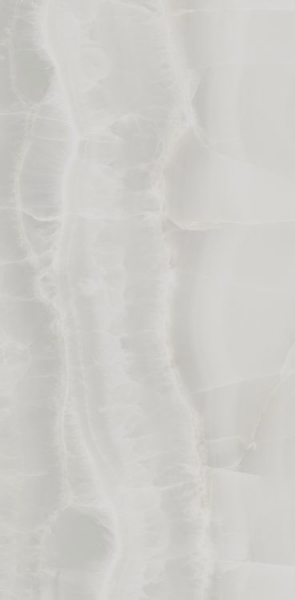 Picture of Elysium - Akoya 12 x 24 Polished Silver