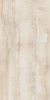 Picture of Elysium - Akoya 24 x 48 Polished Ivory