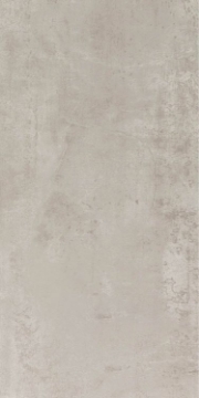 Picture of Elysium - NG Alaska 12 x 24 Grey