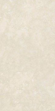 Picture of Elysium - Appia 24 x 48 Matte Cross Cut Ivory