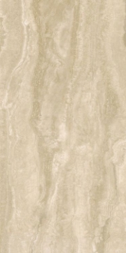 Picture of Elysium - Appia 24 x 48 Matte Vein Cut Beige