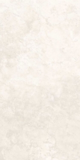 Picture of Elysium - Appia 24 x 48 Polished Cross Cut White