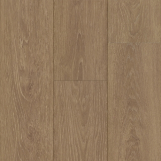 Picture of Trucor - Tymbr XL Leon