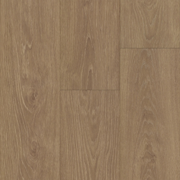 Picture of Trucor - Tymbr XL Leon