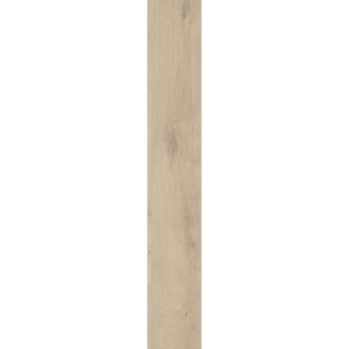 Picture of Ribadao - Stravaganza - AC6 Genova