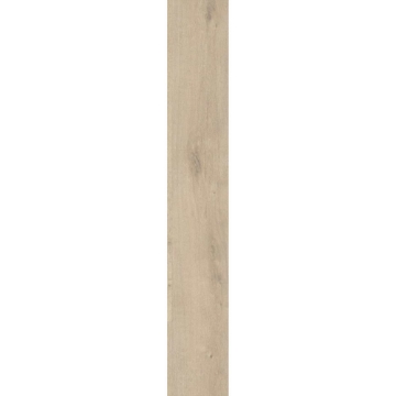 Picture of Ribadao - Stravaganza - AC6 Genova