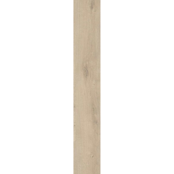 Picture of Ribadao - Stravaganza - AC6 Genova