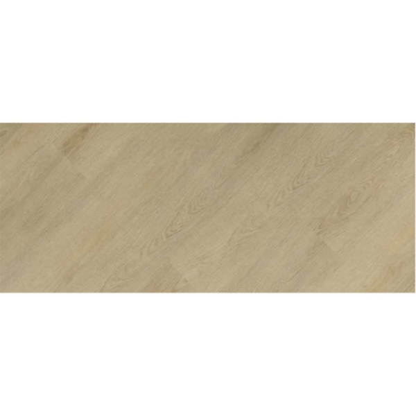 Picture of Ribadao - Buccaneer Tortuga