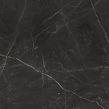 Picture of Anatolia Tile & Stone - La Marca 24 x 24 Nero Venato Polished