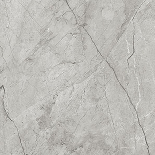 Picture of Anatolia Tile & Stone - La Marca 24 x 24 Paradiso Argento Polished