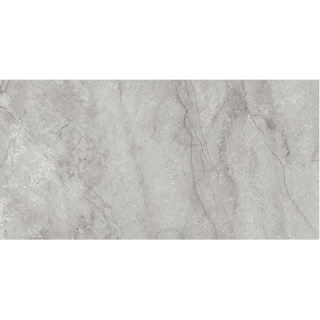 Picture of Anatolia Tile & Stone - La Marca 24 x 48 Paradiso Argento Polished