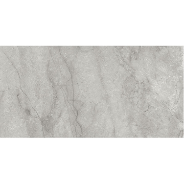 Picture of Anatolia Tile & Stone - La Marca 24 x 48 Paradiso Argento Honed