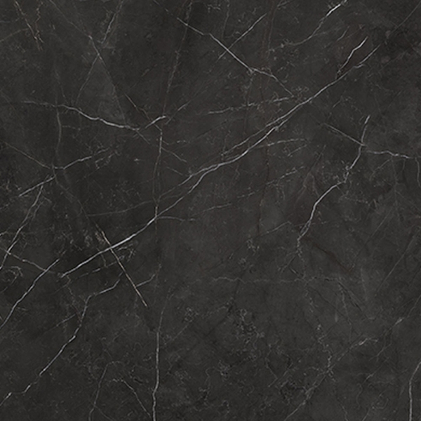 Picture of Anatolia Tile & Stone - La Marca 32 x 32 Nero Venato Honed