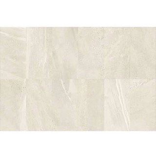 Picture of Daltile - Society 12 x 24 Polished Monument White