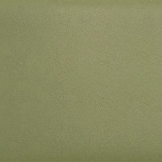 Picture of Daltile - Natural Hues 2.25 x 8 Artichoke