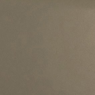 Picture of Daltile - Natural Hues 2.25 x 8 Mushroom