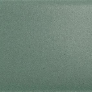 Picture of Daltile - Natural Hues 2.25 x 8 Ireland