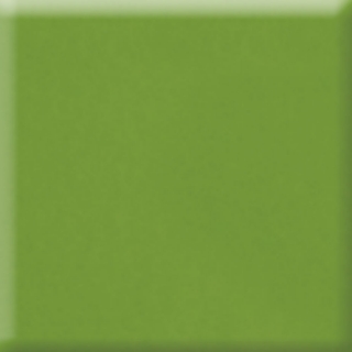 Picture of Daltile - Natural Hues 4 x 8 Fern