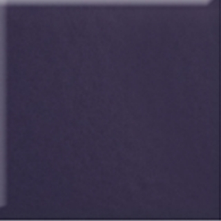 Picture of Daltile - Natural Hues 4 x 8 Grape