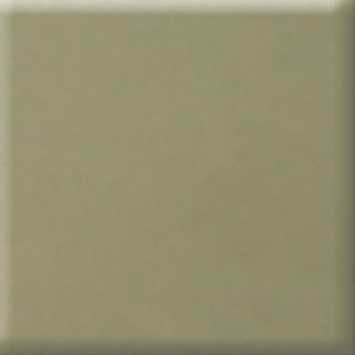 Picture of Daltile - Natural Hues 8 x 8 Birch