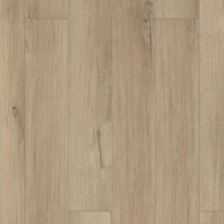 Picture of Shaw Floors - Polaris Plus Marina