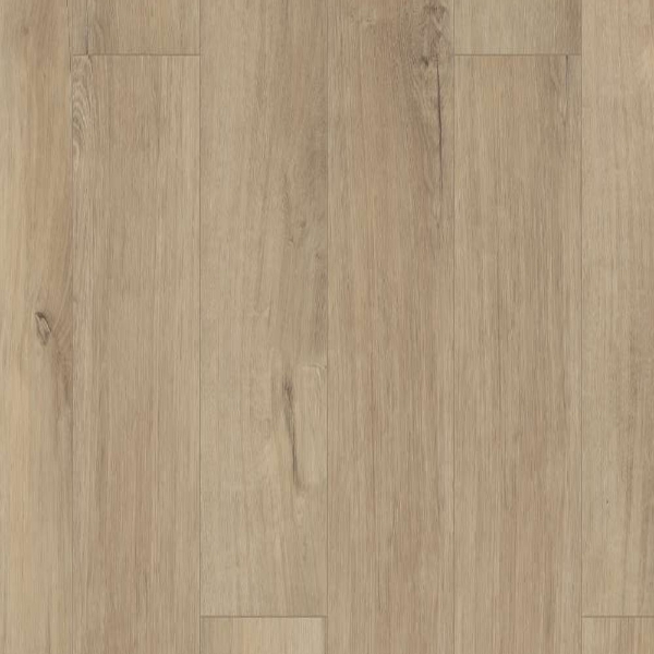 Picture of Shaw Floors - Polaris Plus Marina