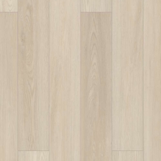 Picture of Shaw Floors - Polaris Plus Silver Dollar