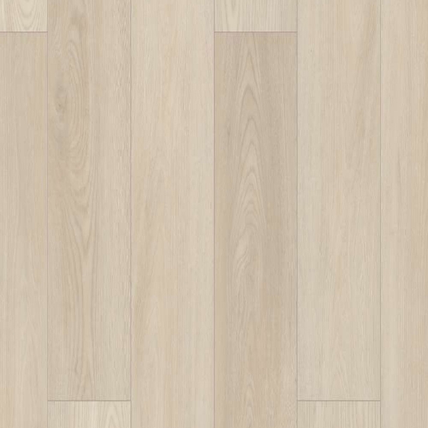Picture of Shaw Floors - Polaris Plus Silver Dollar