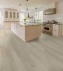 Picture of Shaw Floors - Polaris Plus Silver Dollar