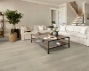 Picture of Shaw Floors - Polaris Plus Silver Dollar