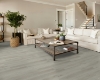 Picture of Shaw Floors - Polaris Plus Warm Grey