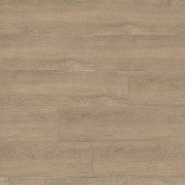 Picture of MS International - Shorecliffs Brundinson