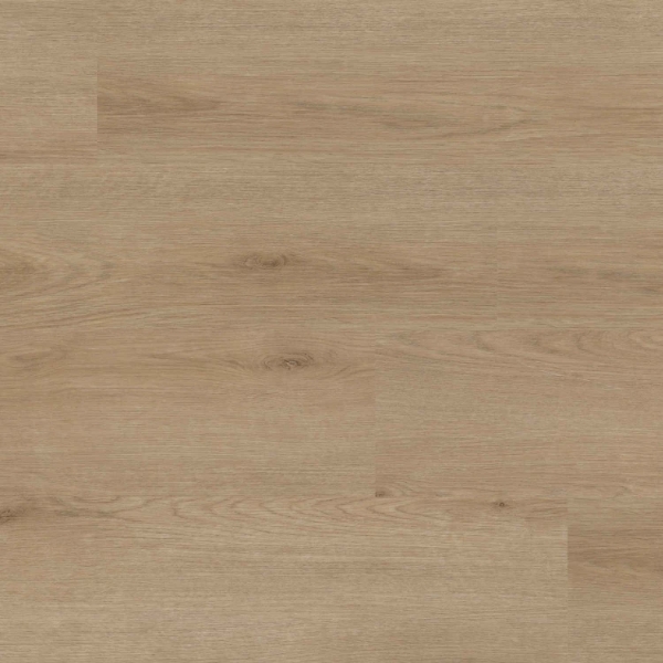 Picture of MS International - XL Studio Bozeman