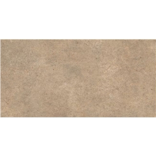 Picture of Daltile - Terratech 12 x 24 Senape