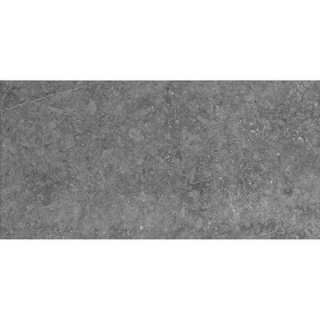 Picture of Daltile - Diplomacy 12 x 24 Light Grey