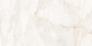 Picture of Roca - Marble Dolomita 24 x 48 Dolomita 6mm