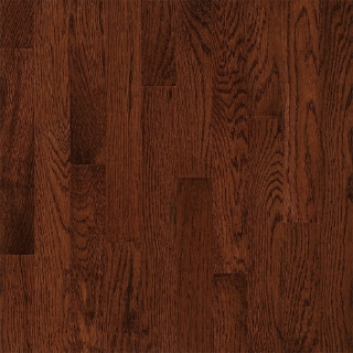 Picture of Bruce - Waltham Strip Kenya