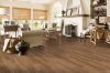 Picture of Bruce - Hydropel Natural Hickory
